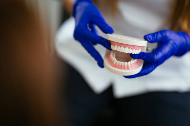 Best General Dentistry  in Lake Marcel Stillter, WA